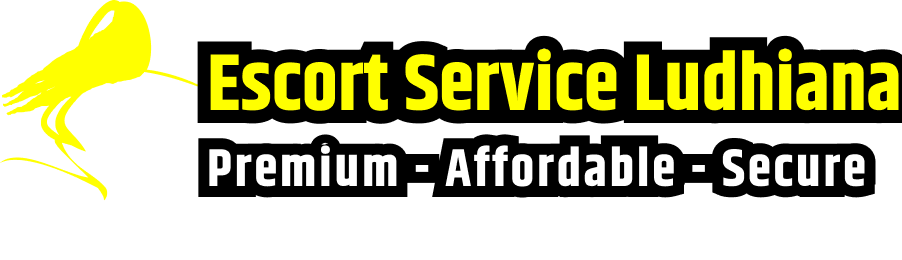 Escort Service Ludhiana Provider