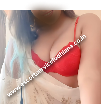 ludhiana independent call girls