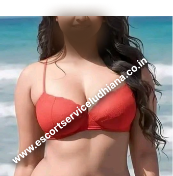 ludhiana vip escort